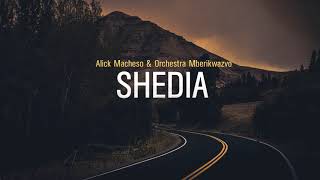 Alick Macheso  Shedia [upl. by Inus250]