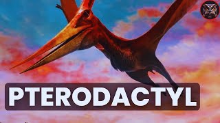 Pterodactyl The Ancient Winged Reptile [upl. by Anos470]