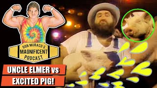 Don Muraco on Uncle Elmer vs Excited Pig [upl. by Seldun]