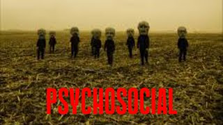 PSYCHOSOCIAL  SlipKnot Cover By TRW [upl. by Yvehc578]