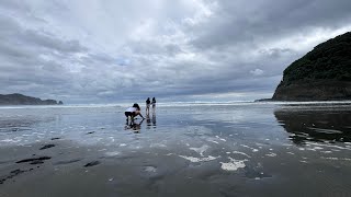 Beaches to visit in Auckland New Zealand [upl. by Amalburga12]