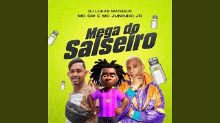 Mega do Salseiro [upl. by Eustis]