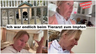 Ich war mit den Kangal Welpen beim Tierarzt  Auswandern Türkei Alltag Vlog 30 November 2023 [upl. by Longmire]