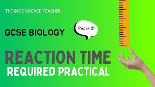 GCSE Biology Reaction time  Required Practical AQA OCR Edexcel [upl. by Leno]