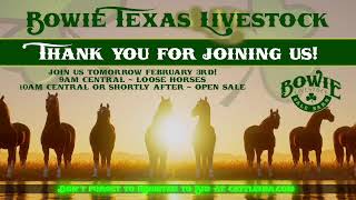 Bowie Texas Livestock February 3rd Catalog Sale [upl. by Flieger]