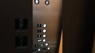 Unknown elevators at Friedwald Rehabilitation Center New City New York [upl. by Mickie]