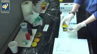 Urinalysis Demonstration [upl. by Huebner]