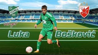 ★ Luka Boskovic ★ Winger ★ Crvena ZvezdaLoznica ★ Highlights 2024 ★ [upl. by Ydnolem]