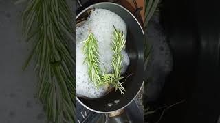 TÓNICO DE ROMERO Y SABILA PARA UN CABELLO LARGO Y SANO [upl. by Seluj]