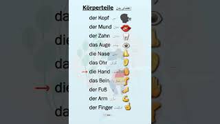 Lernen der Körperteile auf Deutsch🇩🇪📚A1ampA2 آموزش اعضای بدن به آلمانیeducation deutsch زبان [upl. by Gabriell801]