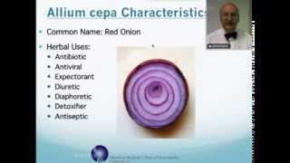 Allium Cepa Homeopathic Medicine Tips For Beginners [upl. by Amlev]