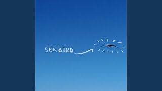 seabird [upl. by Elbring]