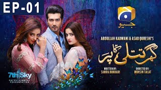 Ghar Titli Ka Par Episode 1  HAR PAL GEO [upl. by Ednil]