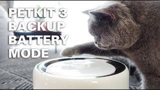 PETKIT EVERSWEET 3 WATER FOUNTAIN BACKUP BATTERY MODE REVIEW – CAT GOT EXCITED I KITTICOOPER [upl. by Nylde]