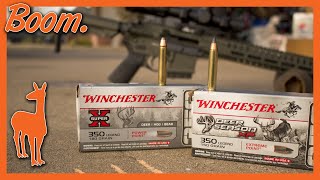 350 Legend TwoPunch Knockout in Ballistic Gel Winchester Deer Season XP amp Super X Power Point [upl. by Montano888]