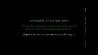 Ibn Baz légaré qui égare [upl. by Macfarlane491]