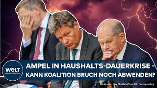 WOCHE DER WAHRHEIT Der Haushalt 2025 wird zur Zerreißprobe für AmpelRegierung [upl. by Adnoek826]