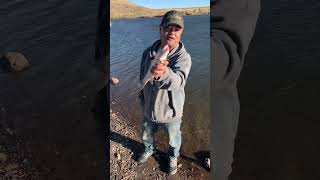 Here Is Seven Fishing At Bear Creek Reservoir In Lakewood Colorado Beautiful Ruby fishing fun [upl. by Etnaled]