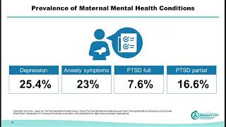 Maternal Mental Health Screening Treatment and Improvement Strategies [upl. by Ardme]