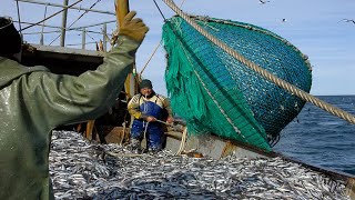 Life On Largest Midwater Trawl Vessel  Fishing trip on trawler the High Sea 02 [upl. by Adaliah290]