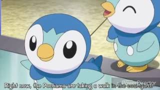 Pokemon XY Ash References Dawns Piplup Japanese Dub [upl. by Ydoow518]