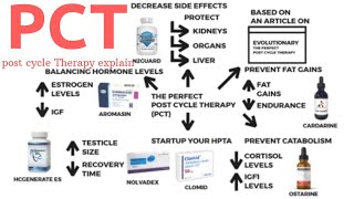 Post Cycle Therapy PCT Explained in Hindi  Best Way To Do PCT For STEROIDS And SARMS All ABOUT PCT [upl. by Leontina955]