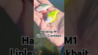 CRAZY LOOKING Lipless Crankbaits fishing bassfishing fishinglures shortsfeed [upl. by Ynattir]