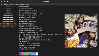 Install Retrograming for terminal in Linux MODICIA OS calamares configure linux technology [upl. by Zilber142]