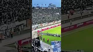 PAOK FANS [upl. by Hctub]