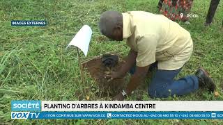 Planting d’arbres À KINDAMBA CENTRE [upl. by Eiram]