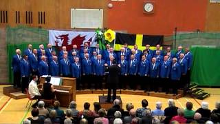 Halelujah Builth Wells Male Voice Choir [upl. by Idnahk]