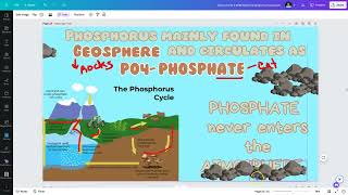 APES Unit 2 Phosphorus Cycle [upl. by Ev569]