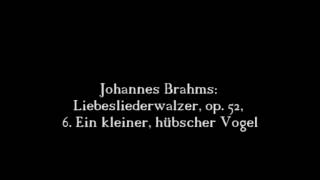 Johannes Brahms Liebesliederwalzer op 52 6 Ein kleiner hübscher Vogel 618 [upl. by Aitas766]