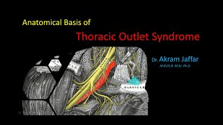 Anatomical Basis of Thoracic Outlet Syndrome [upl. by Waldner877]