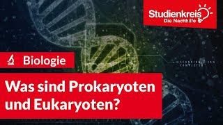 Was sind Prokaryoten und Eukaryoten  Biologie verstehen mit dem Studienkreis [upl. by Hulen]