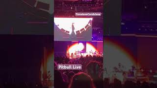 Pitbull concert live pitbull concert music [upl. by Acissey]