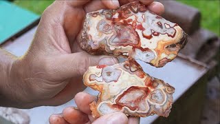 Lets Cut Crazy Lace Agate from Mexico [upl. by Ahsik]