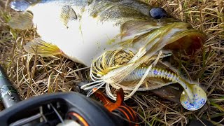 How to Fish a Chatterbait in the Fall and Winter Fishing Tips [upl. by Trinetta965]