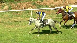 BRILLIANT LADY wins The Rahys Serenade Handicap Div2 [upl. by Aisela]