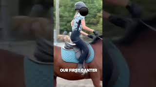 Watch out for more prissy vids I’m going to see her today 🥳 horse equestrianvibes slayed [upl. by Kalindi58]