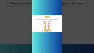 LOOP OF HENLE kidney loopofhenle water reabsorption nephron anatomyandphysiology [upl. by Ainoek]