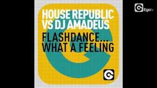 HOUSE REPUBLIC VS DJ AMADEUS  Flashdance What A Feeling [upl. by Gregoire]