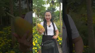 Hái Trộm Đu Đủ Chùa phuongthuytv funny tuthien giadinh giaitri phatphap haihuoc fruit [upl. by Desirae]