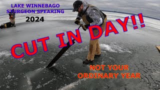 STURGEON SPEARING CUT IN DAY 2024 LAKE WINNEBAGO [upl. by Angel2]