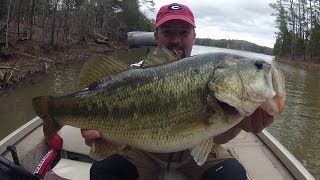 How to Find Fish  Bass Fishing [upl. by Nalid]