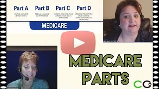 Medicare Billing Guidelines  Medicare Parts A B C and D [upl. by Tasha]