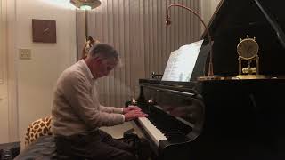 Working for equal length accompaniment notes to create peace and calm in The Swan Pianist Brian King [upl. by Catharina]