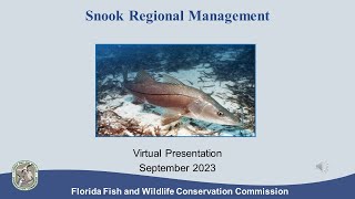 Snook – Regional Management September 2023 Recorded Presentation [upl. by Ayerhs21]