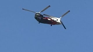 Coulson aviation water tanker Boeing Ch47 tanker 55 pass at Sherman oaks [upl. by Ferrick]