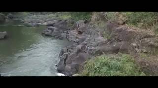 DJI Ryze TELLO Drone Cinematic Footage 8thEps quotManggis River  Indonesiaquot [upl. by Ayt]